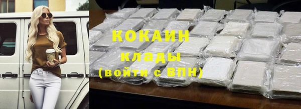 МДПВ Протвино