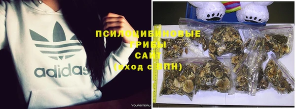прущие крисы Пролетарск